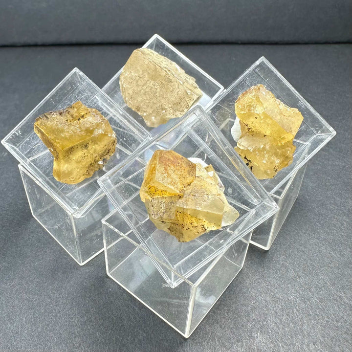 Thumbnail Specimens in Acrylic Box from Morocco