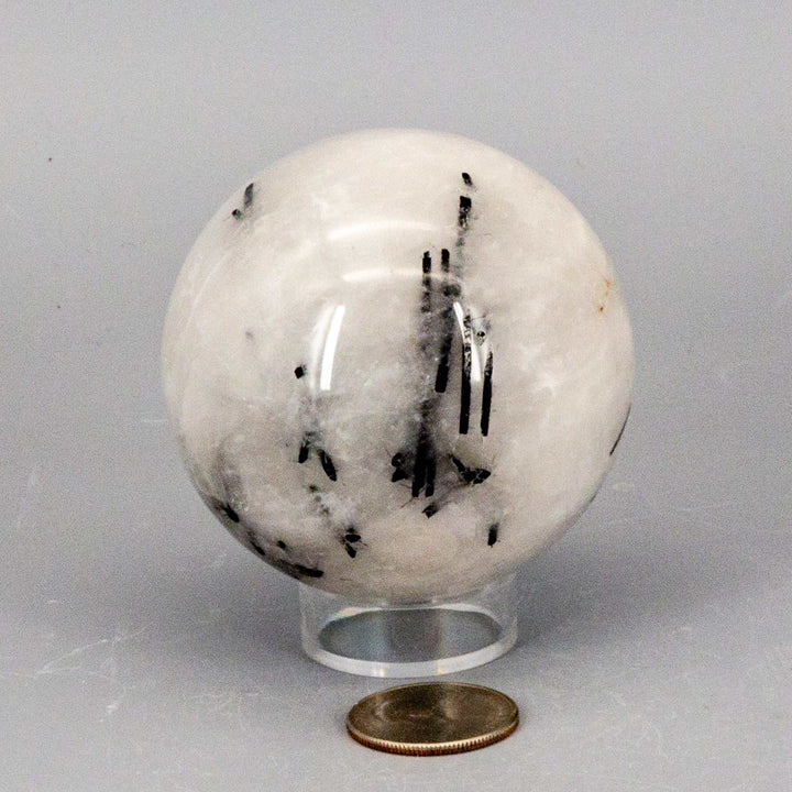 Quartz w/t Black Tourmaline Inclusions 68MM