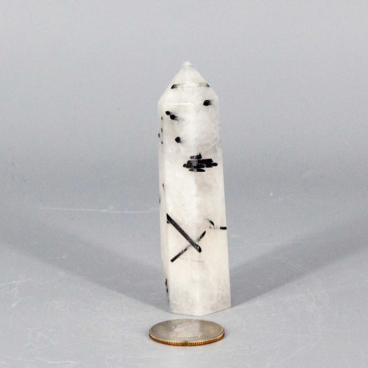 Quartz w/t Black Tourmaline Tower