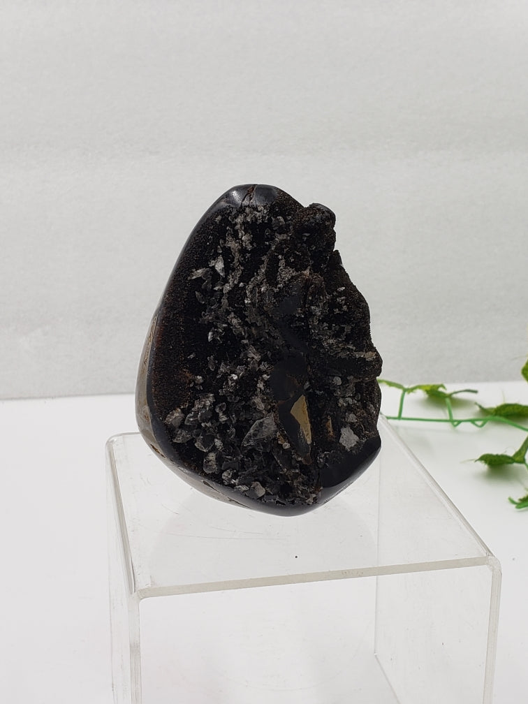 Septarian Freeform