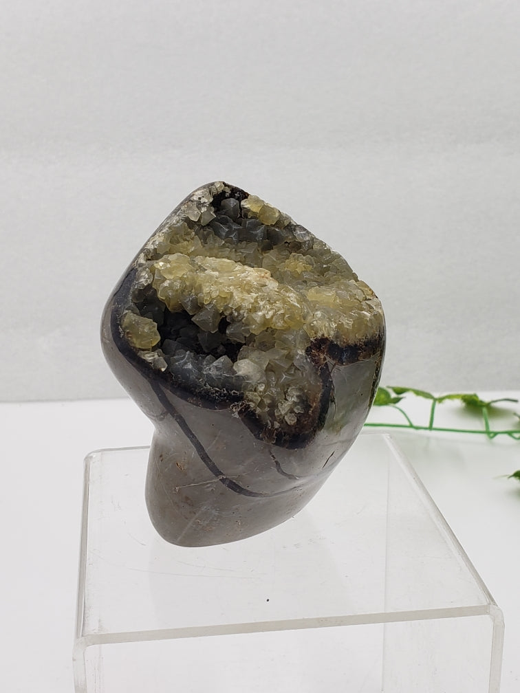 Septarian Freeform