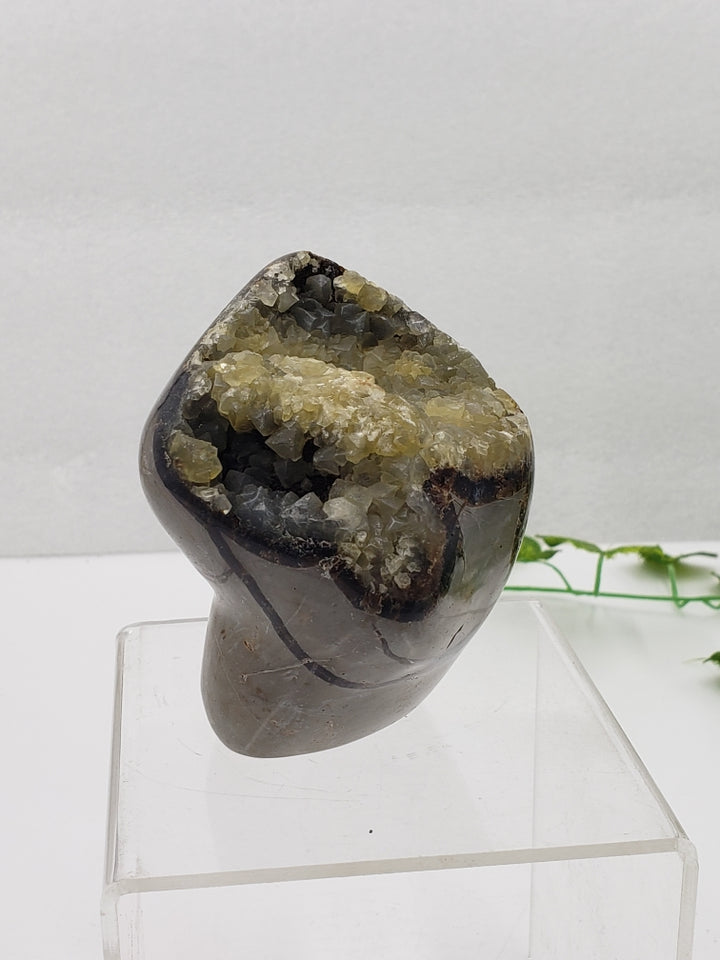 Septarian Freeform
