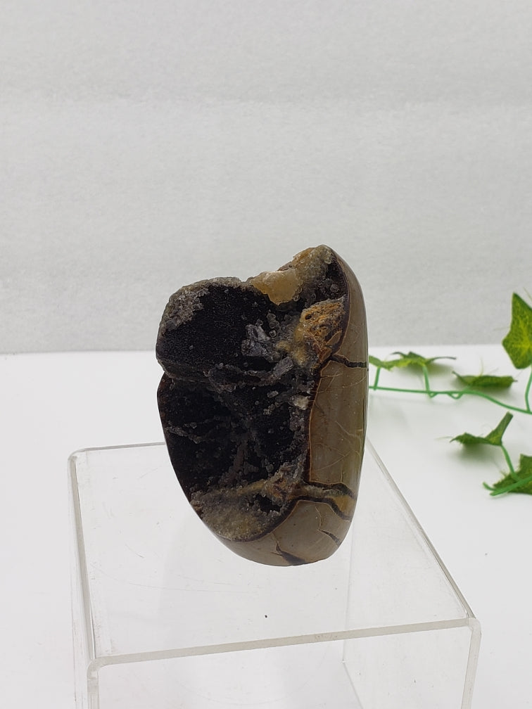 Septarian Freeform