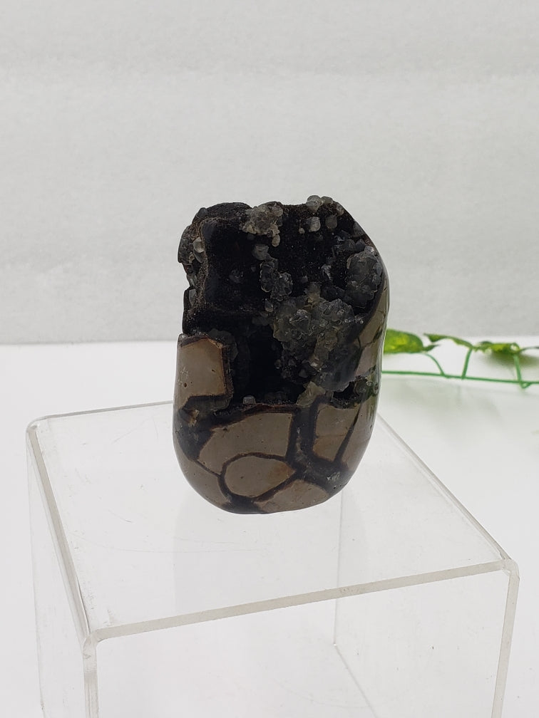 Septarian Freeform