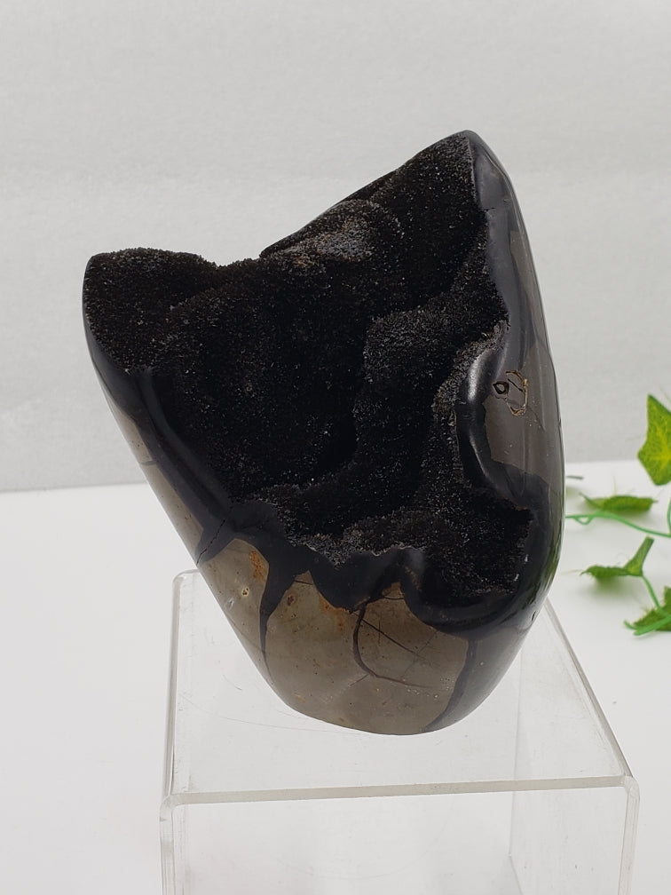 Septarian Freeform