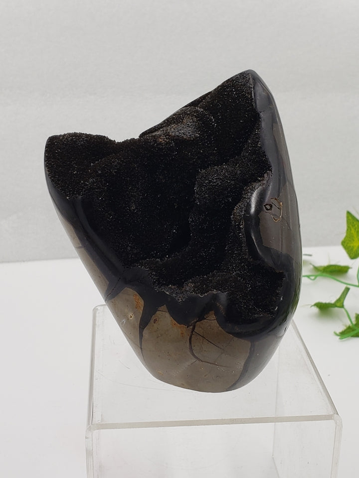 Septarian Freeform