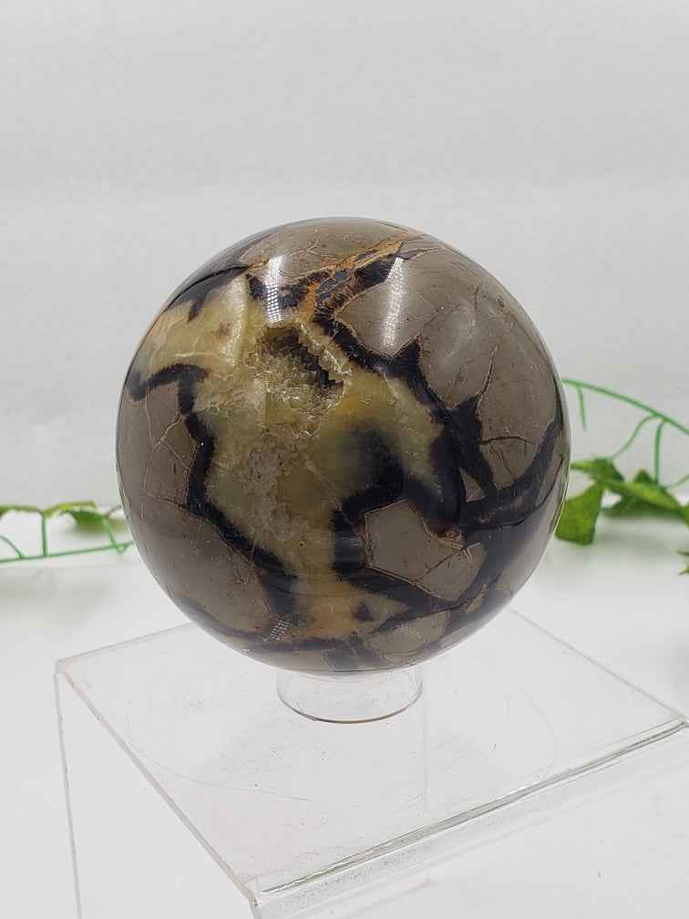 Septarian Sphere - NEEDS PRICING