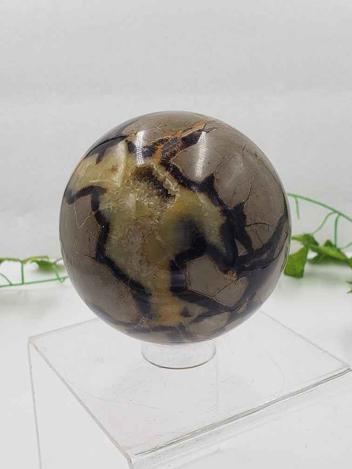 Septarian Sphere - NEEDS PRICING