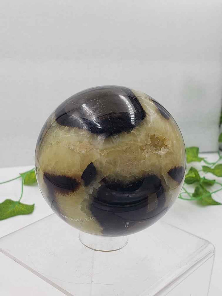 Septarian Sphere - NEEDS PRICING