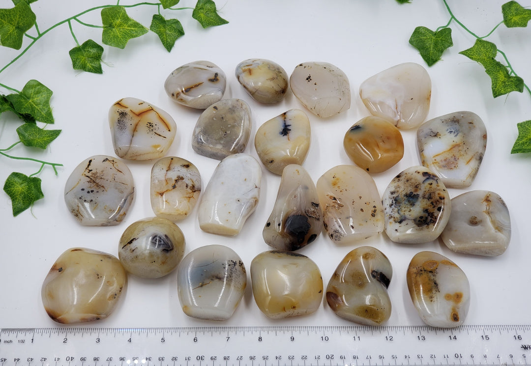 Seaweed Agate Freeform Desk Piece