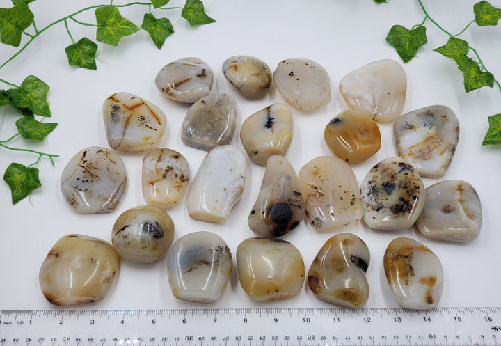 Seaweed Agate Freeform Desk Piece
