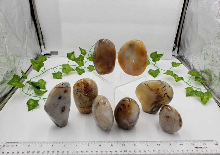 Seaweed Agate Freeform Desk Piece