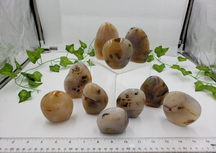 Seaweed Agate Freeform Desk Piece