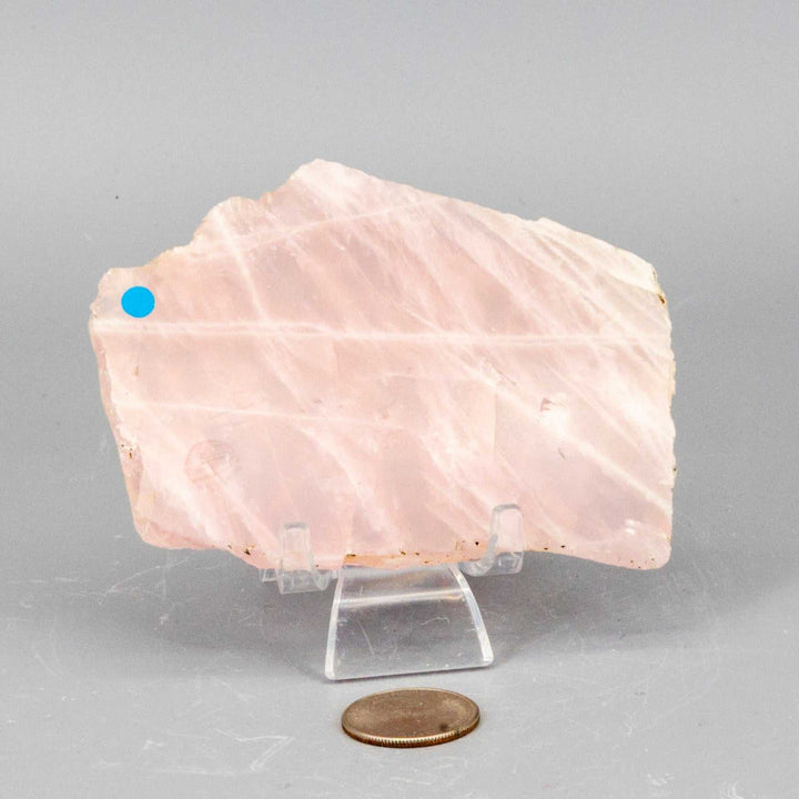 Rose Quartz Slice, Polished Crystal