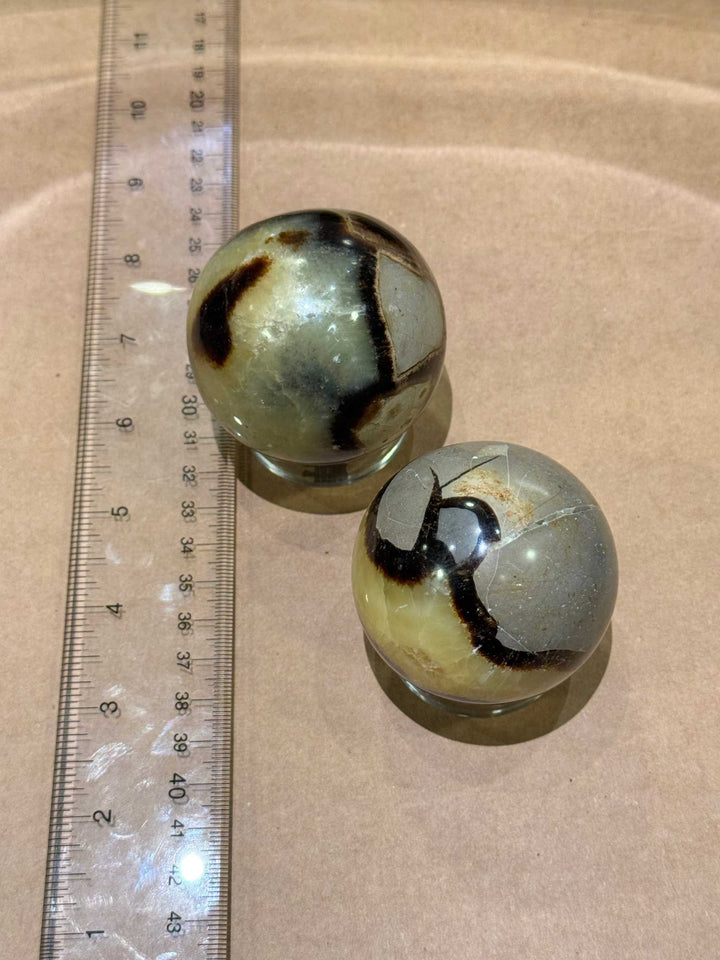 Septarian Sphere ~ 2.25"