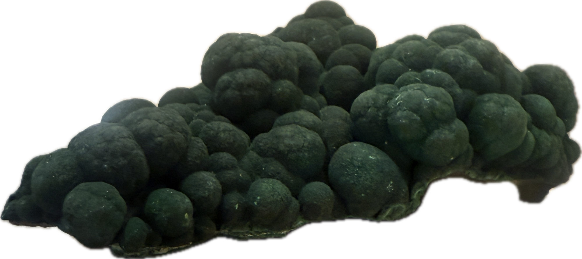 Velvet Malachite Forest 1lb specimen, raw energetic mineral, Amazon rainforest-like appearance.