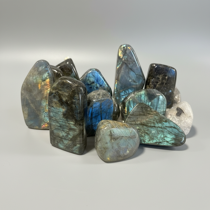 Collection of labradorite stones with multicolored flash on a clear background