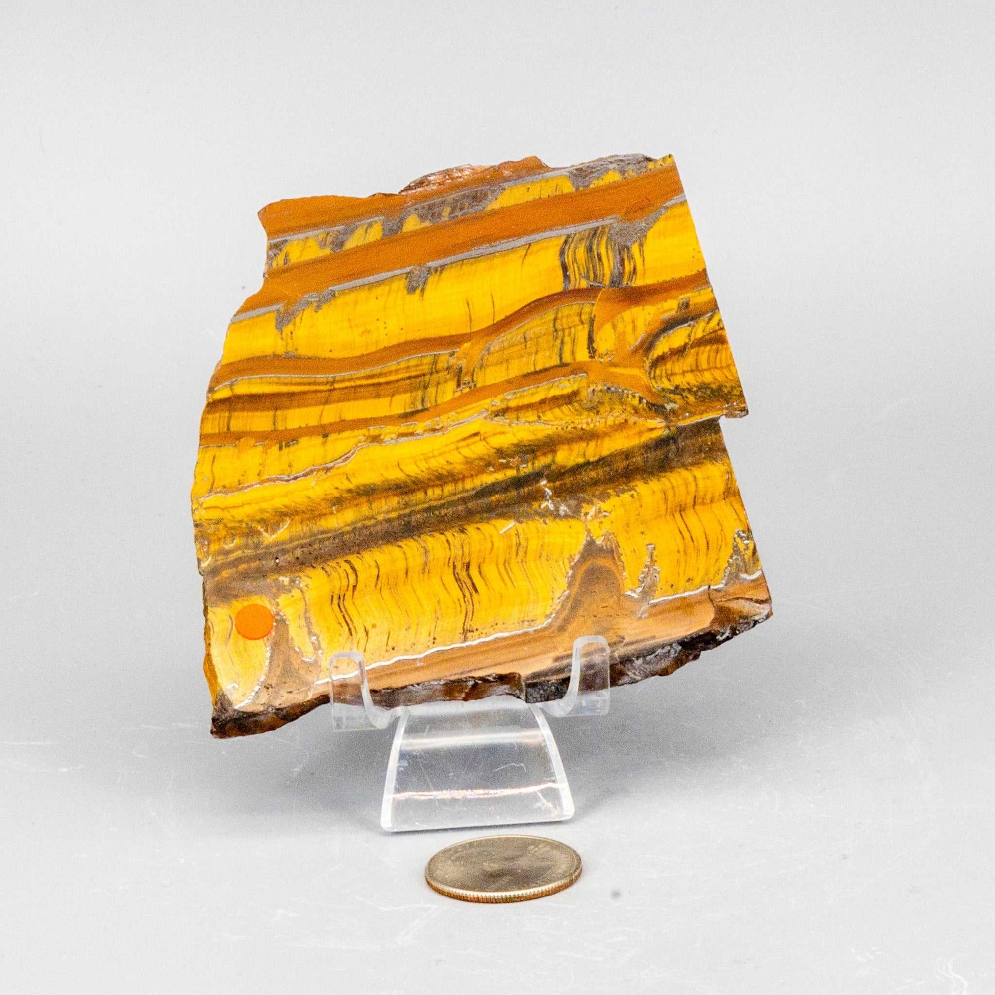 Tiger&#39;s Eye Polished Slice, Golden Healing Stone