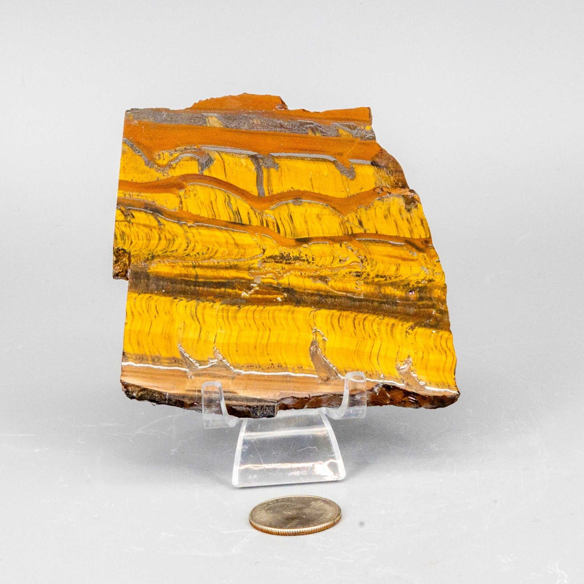 Tiger&#39;s Eye Polished Slice, Golden Healing Stone