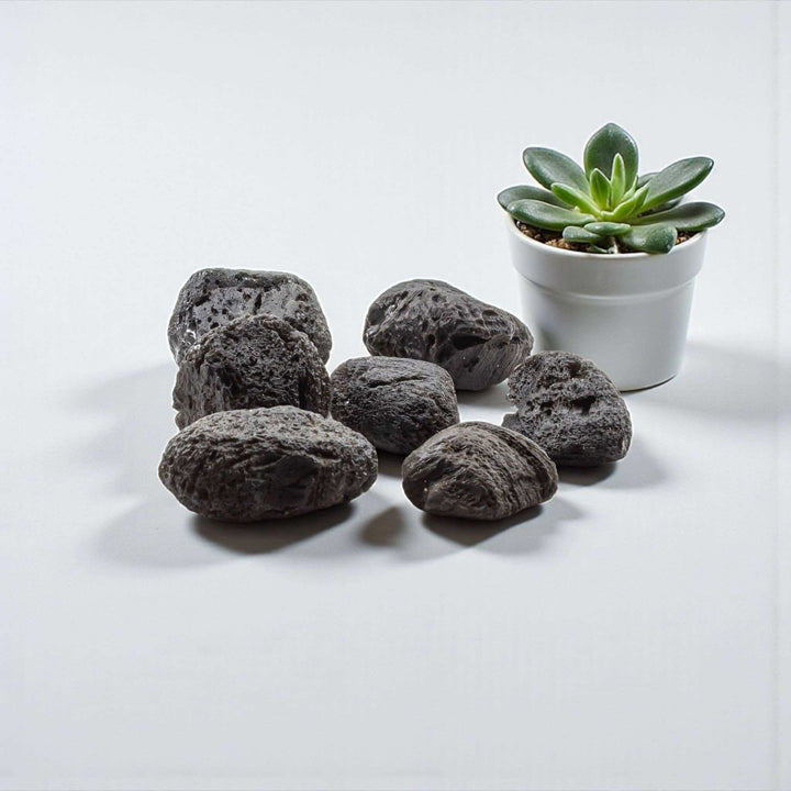 Tektite Rough Large Palm Stone Size Specimen