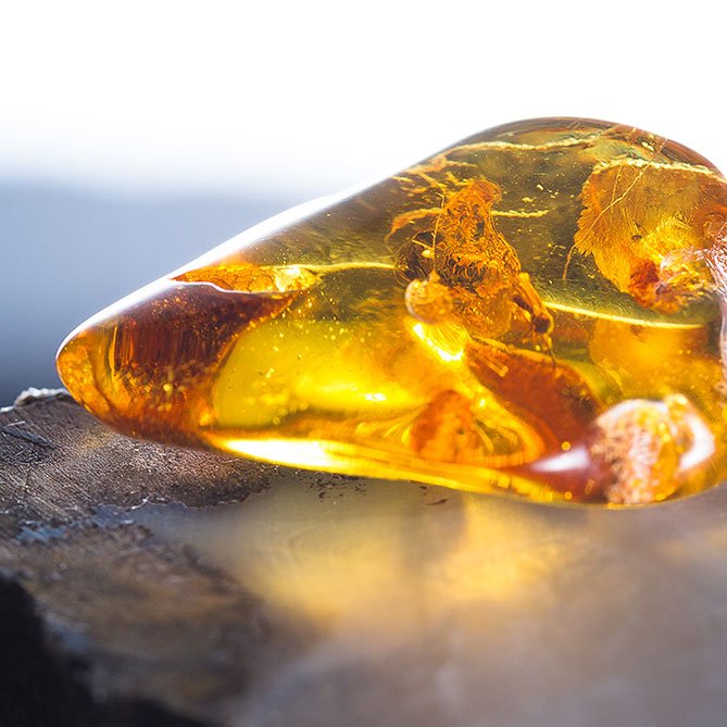 Amber Oil — Sun's Eye bottle