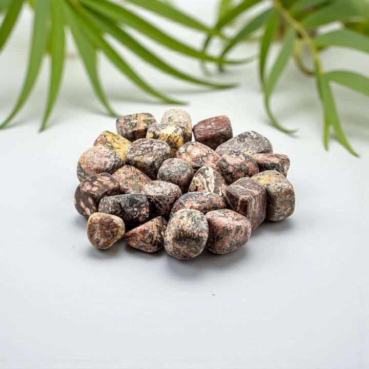 Leopard Skin Jasper Tumbled Pocket Stone