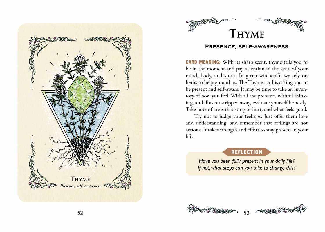 Green Witch&#39;s Oracle Deck by Arin Murphy-Hiscock