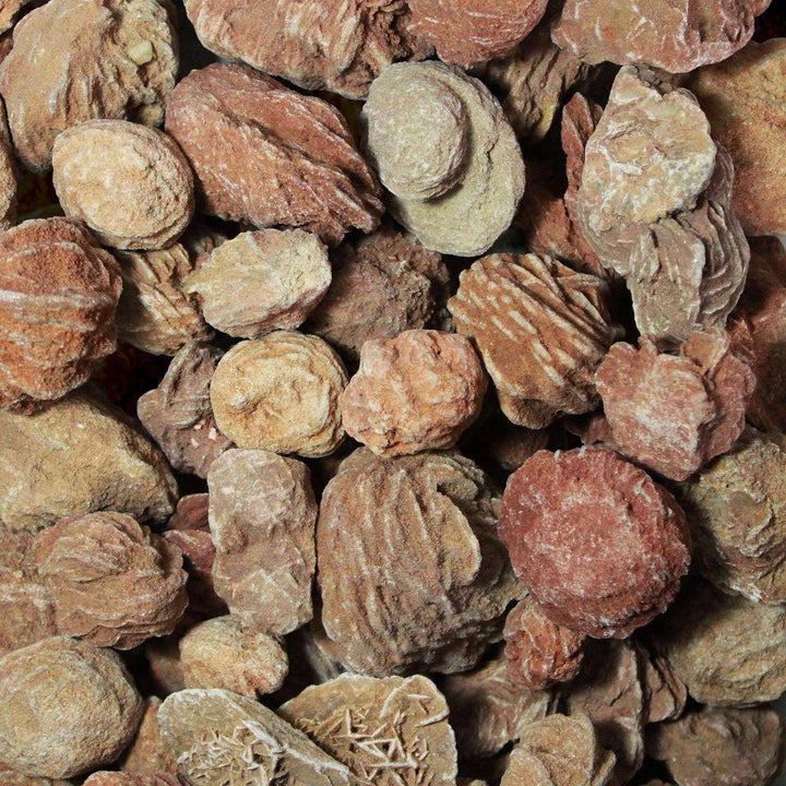 Rough Moroccan Desert Rose Specimen