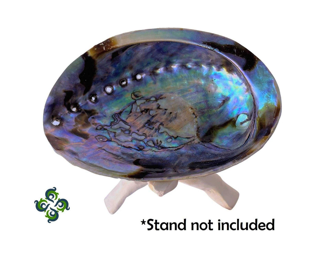 New Zealand Abalone Shells Incense Sage Burner