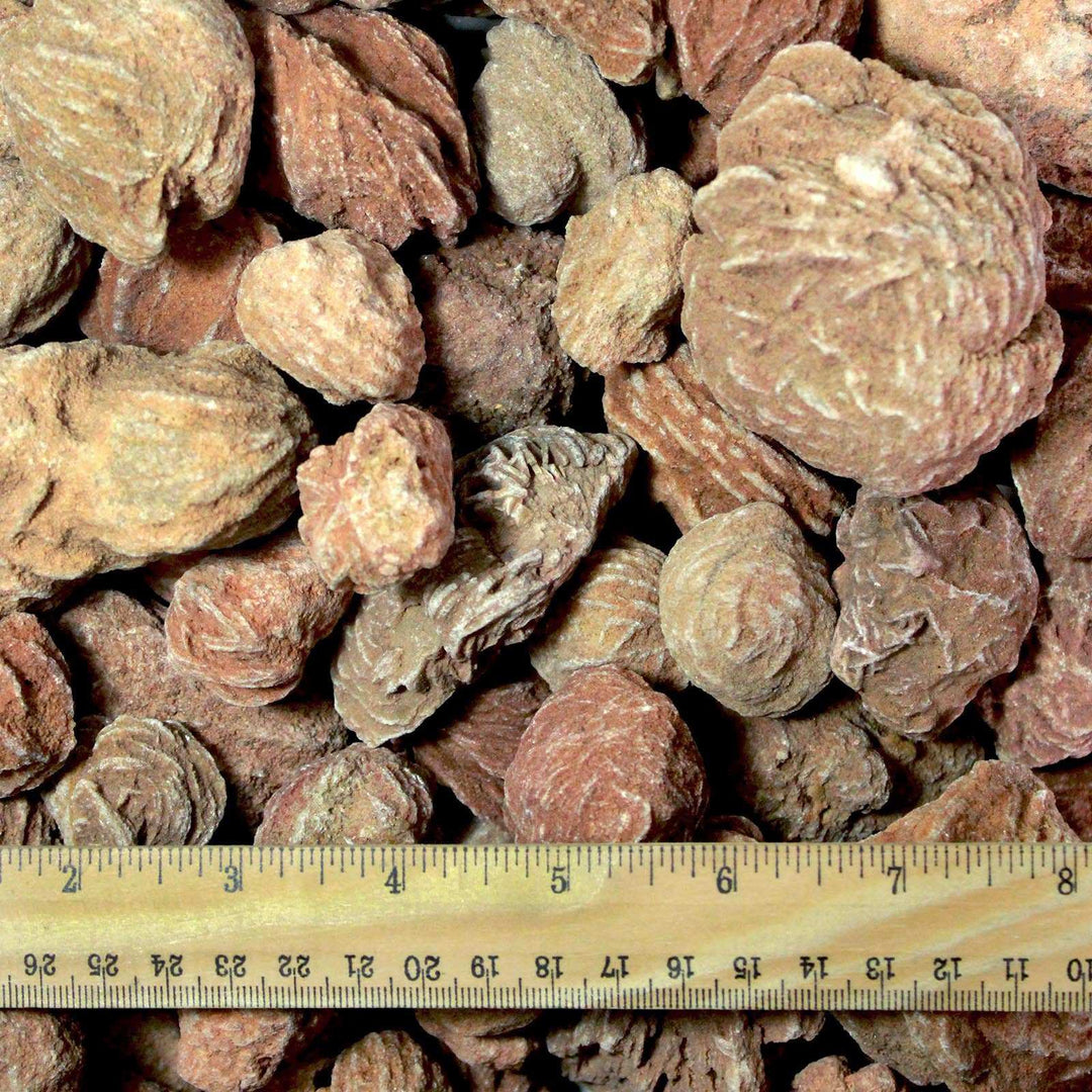 Rough Moroccan Desert Rose Specimen