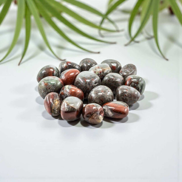 African Bloodstone Tumbled Pocket Stone