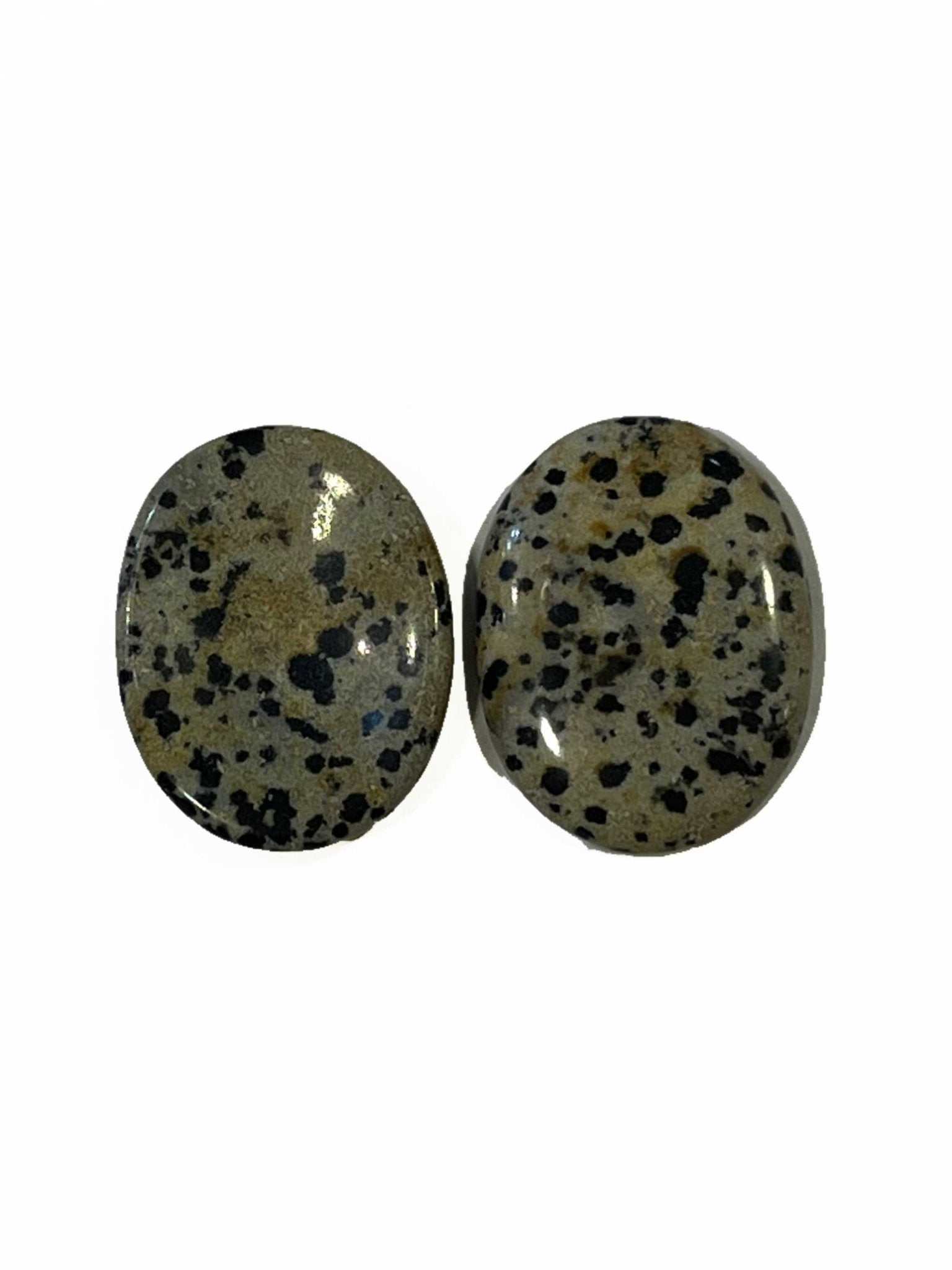 Dalmatian Jasper Comfort Stone - Sacred Crystals Tumbled Stones