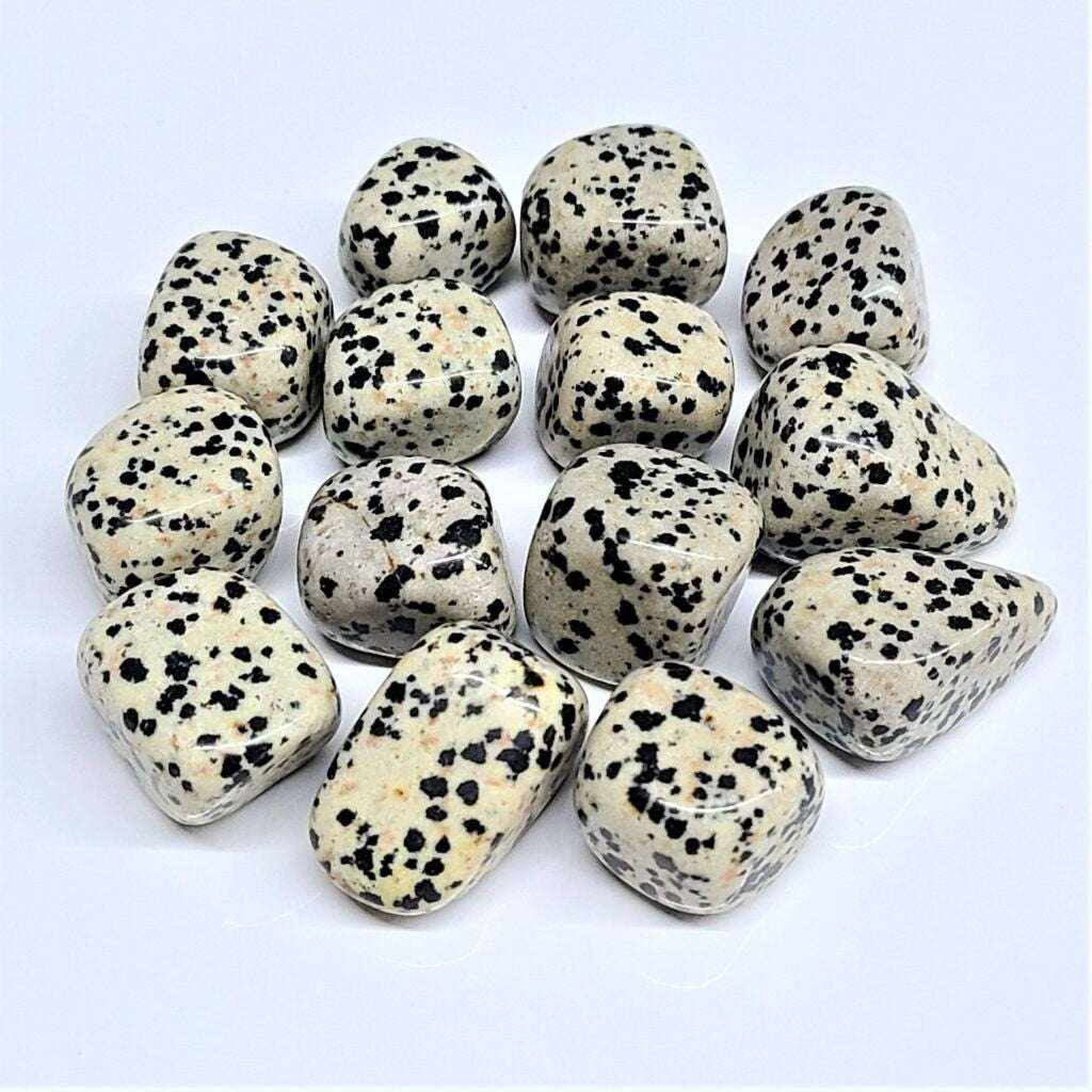 Dalmatian Jasper Tumbled Stone - Sacred Crystals Tumbled Stones