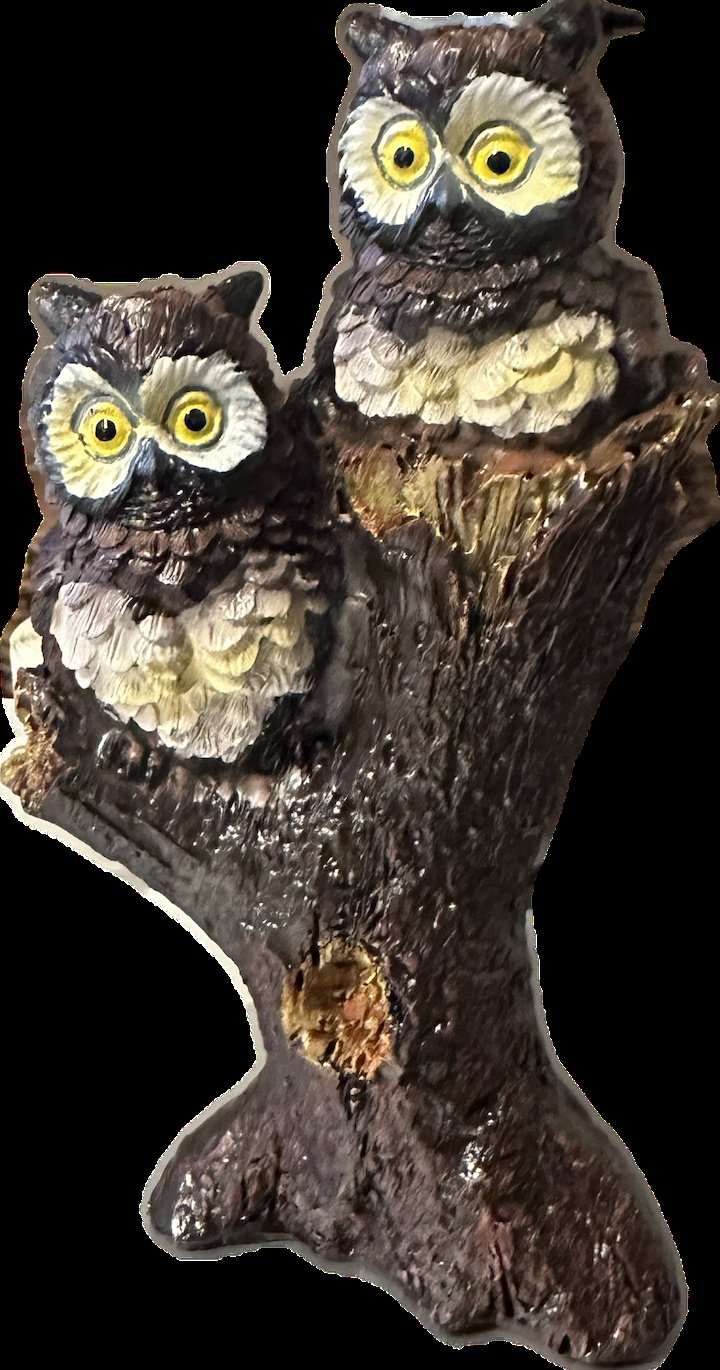 Desk Owls Questioning your Choices - 6" - Sacred Crystals Home Decor