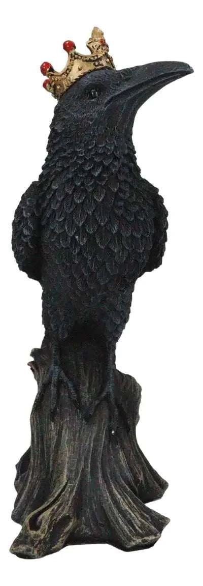 Crowned Raven