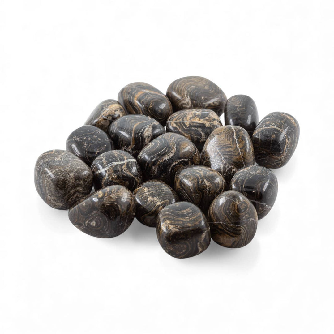 Stromatolite Tumbled Pocket Stone