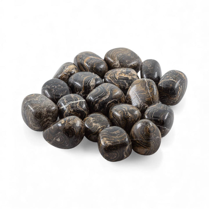 Stromatolite Tumbled Pocket Stone