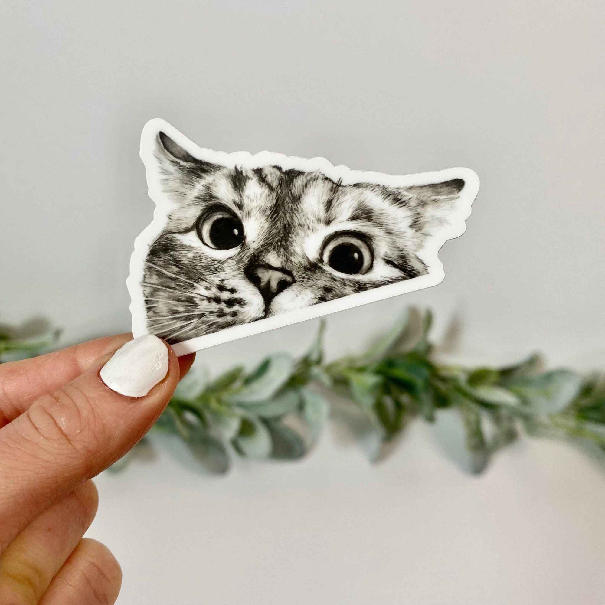 Hand holding a durable vinyl peeking cat sticker with wide eyes, waterproof and weatherproof, for indoor and outdoor use.