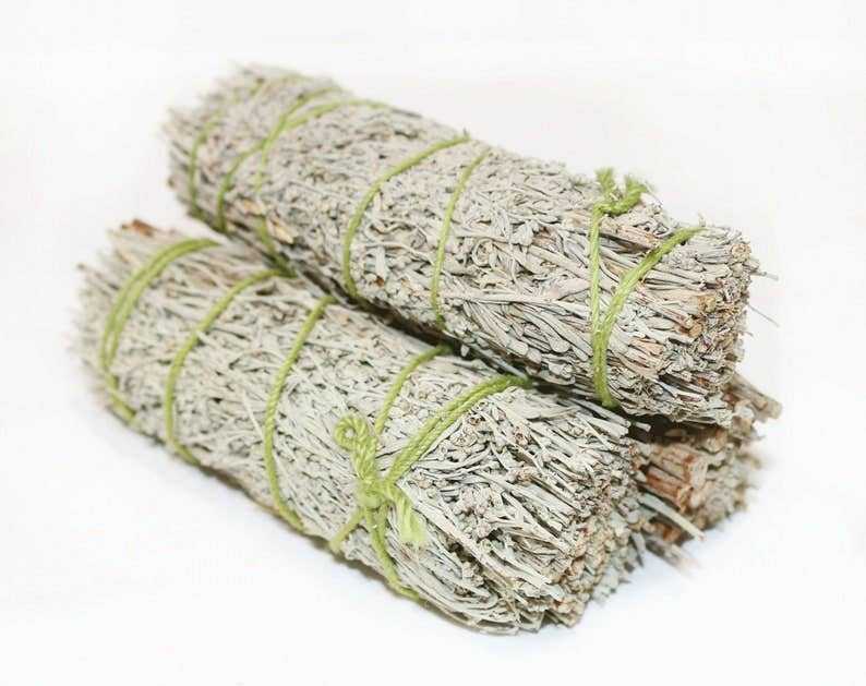 Blue sage smudge sticks for energy cleansing and purification.