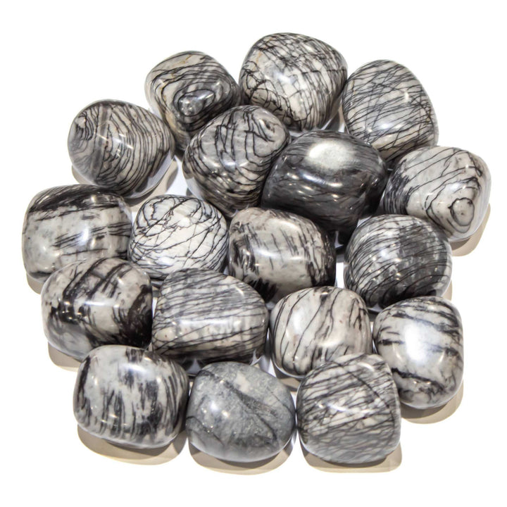 Spiderweb Jasper Tumbled Palm Stone