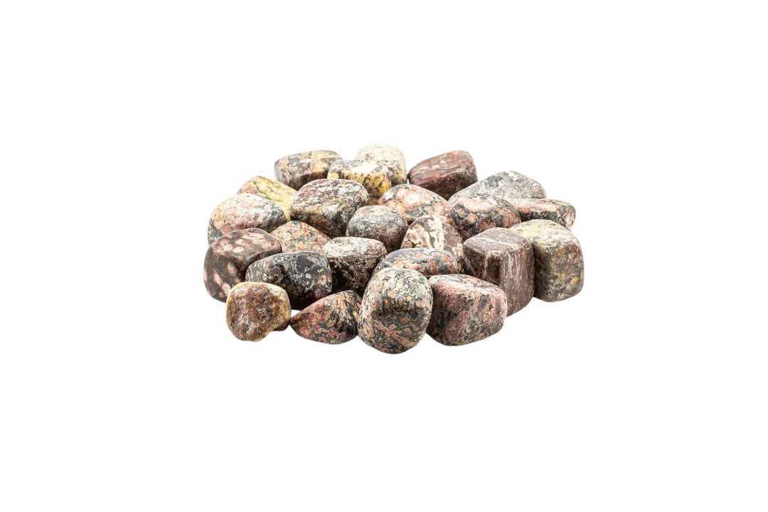 Leopard Skin Jasper Tumbled Pocket Stone