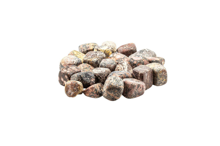 Leopard Skin Jasper Tumbled Pocket Stone