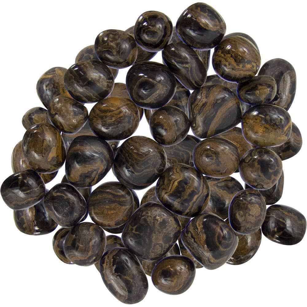 Tumbled Stones Stromatolite (1lb)