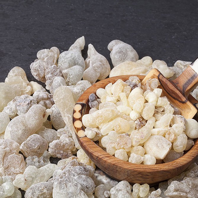 Frankincense Oil — Sun's Eye bottle