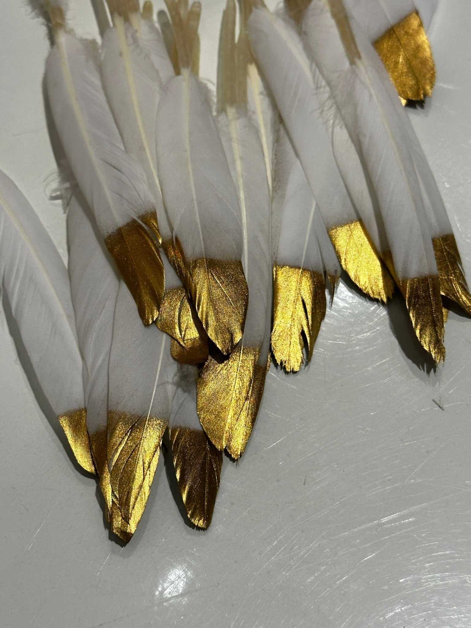 Gold Tip White Feathers - Sacred Crystals Feathers