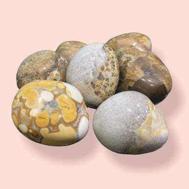 Leopardskin Jasper Tumbled Stone - Sacred Crystals Tumbled Stones