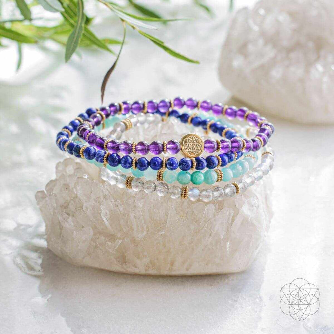 Manifestation Magnet Pack of 4