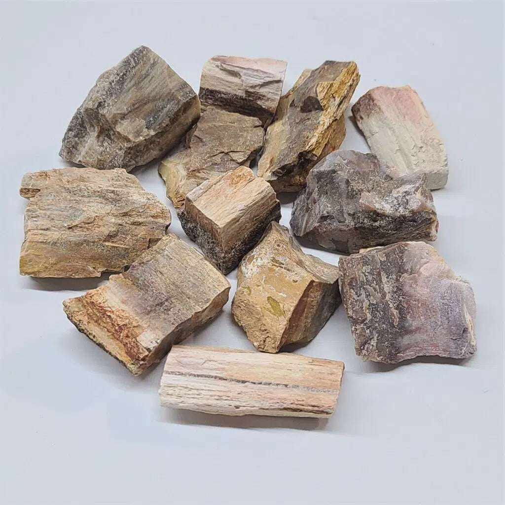 Petrified Wood Rough - Sacred Crystals Rough Stones