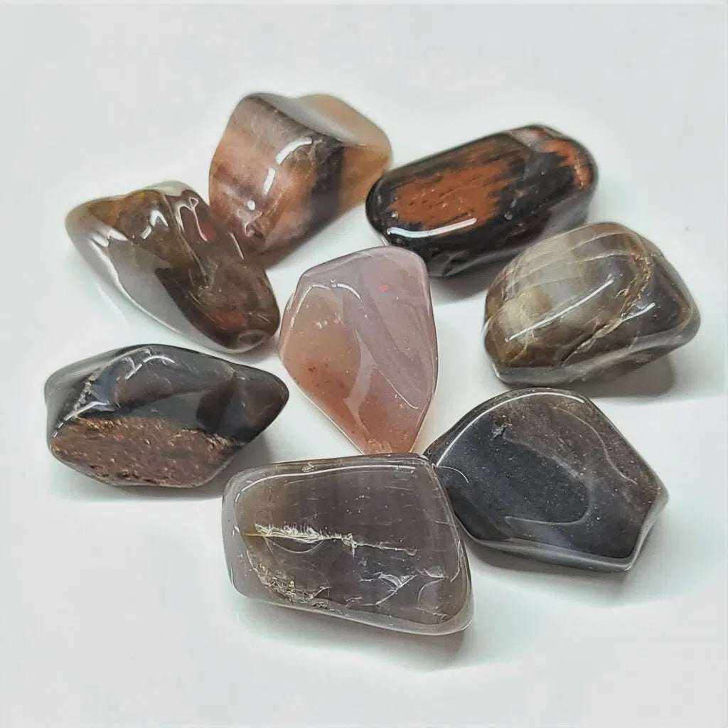 Petrified Wood Tumbled Stone - Sacred Crystals Tumbled Stones