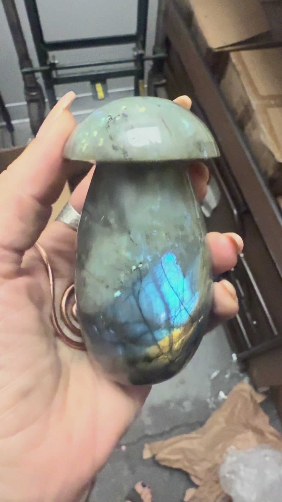 Labradorite Cosmic Mushroom ~ 4"